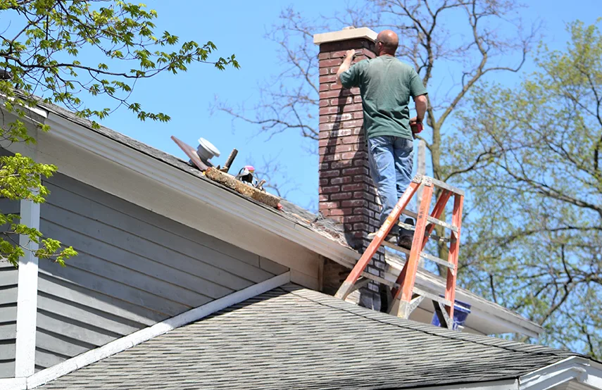 Chimney & Fireplace Inspections Services in North Charleston, SC